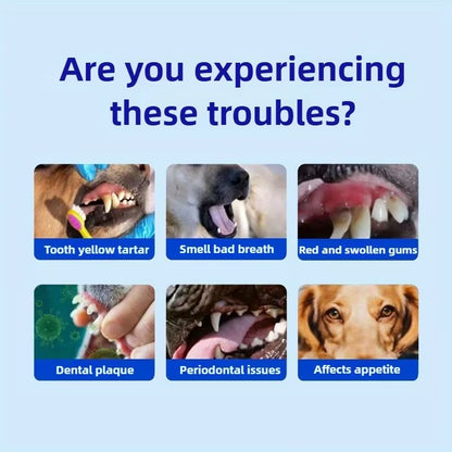 Pet Dental Cleaning Powder